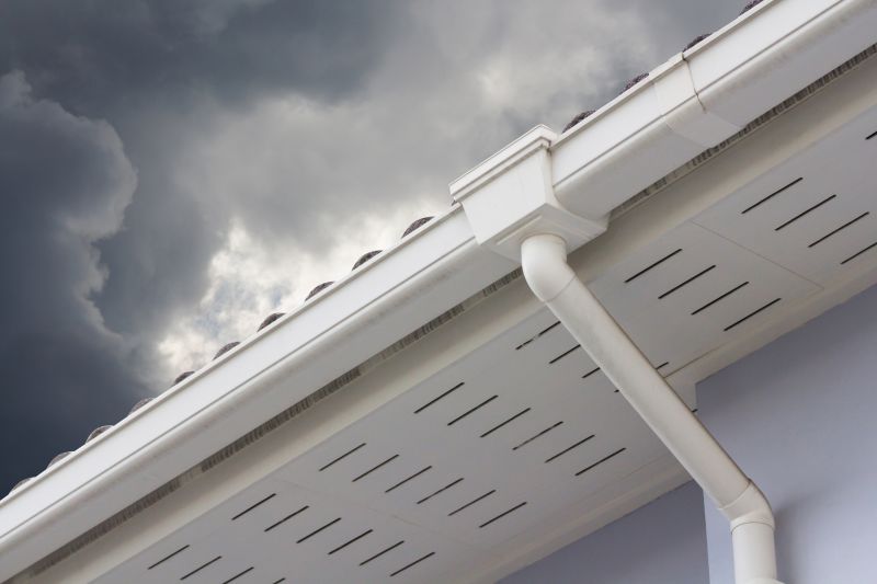 Box Gutter Repair in Sacramento, CA